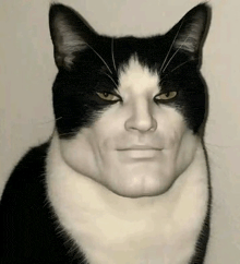 50068.jpg