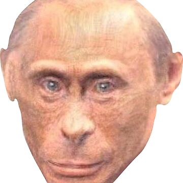 raf,360x360,075,t,fafafa:ca443f4786.jpg