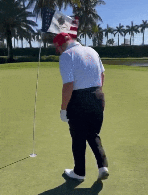 unnamed-60.gif