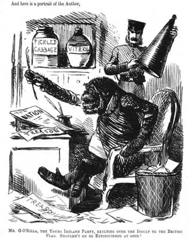 Monkey-Irishman.jpg