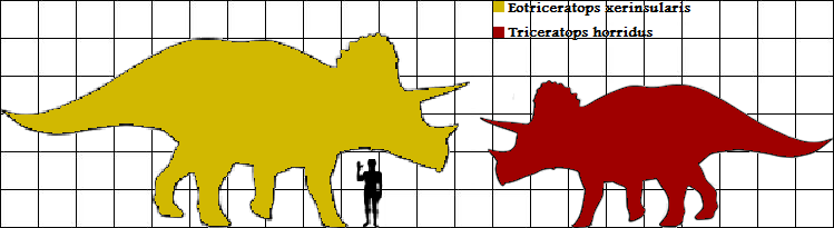 c525d7bc7697fc26aee56ed7f4a84e39.png
