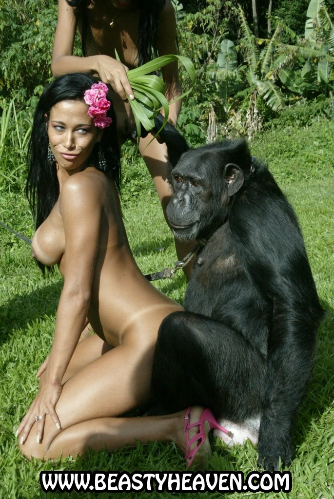 monkey-sex-05.jpg