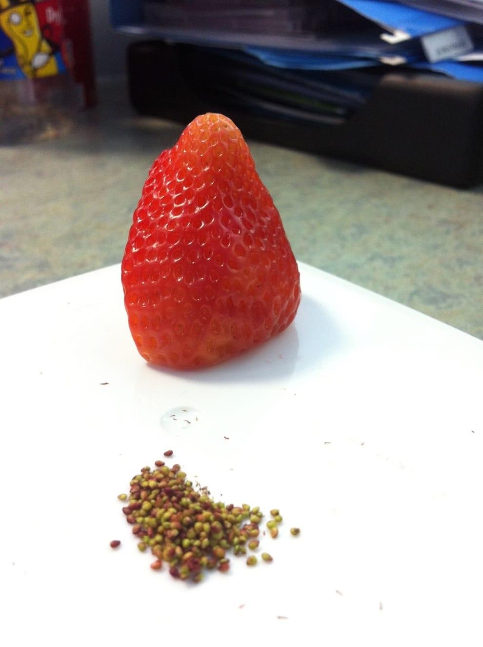 Image result for strawberry with all seeds removed