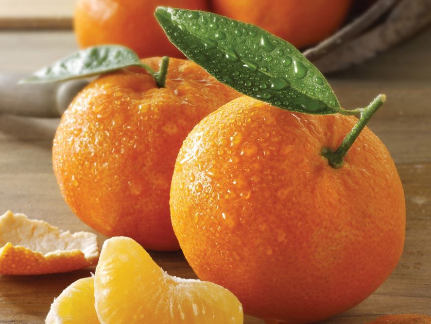 order-floridda-tangerines-online-081816.jpg