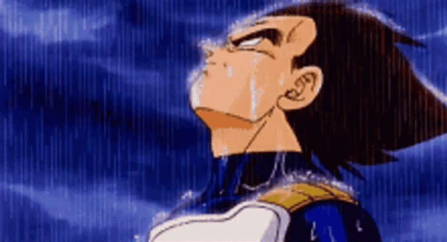 dragon-ball-z-vegeta-sad-in-rain-cd3p5lyqfwkibclp.gif