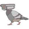 pigeonsarentreal.co.uk