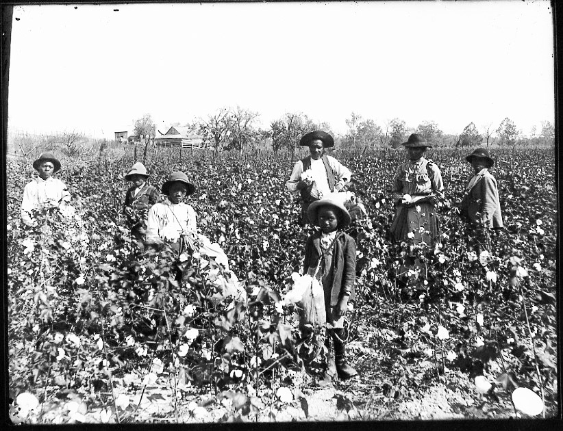Black_cotton_farming_family.jpg