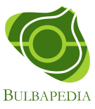 m.bulbapedia.bulbagarden.net