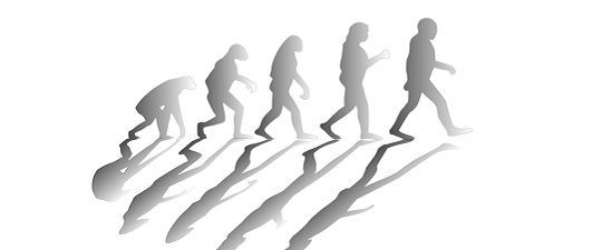 biodifferences.com