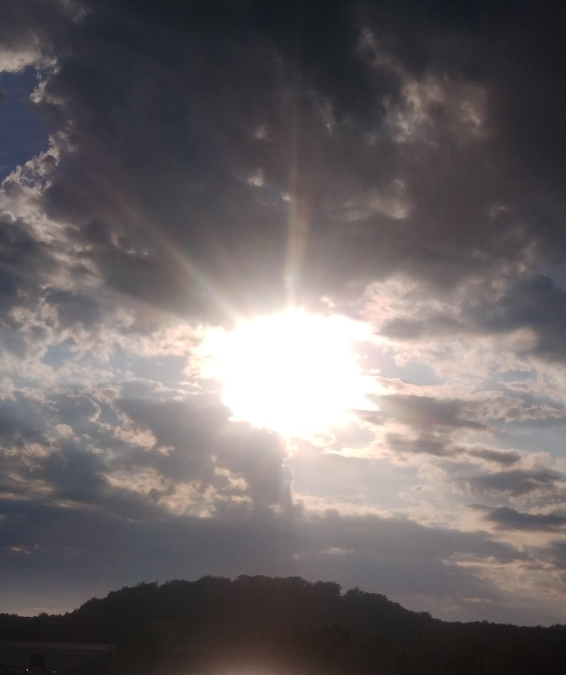 s98o8g355q471.jpg
