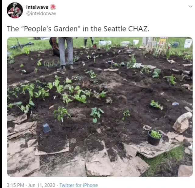 The People's Garden in the Seattle CHAZ. - iFunny Brazil