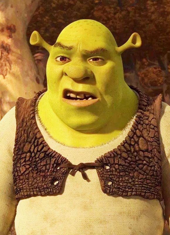 Pin by BeckyArteest on Dreamworks | Shrek funny, Shrek, Memes
