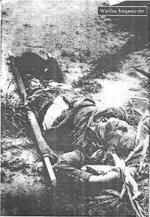wanton%20killings.JPG