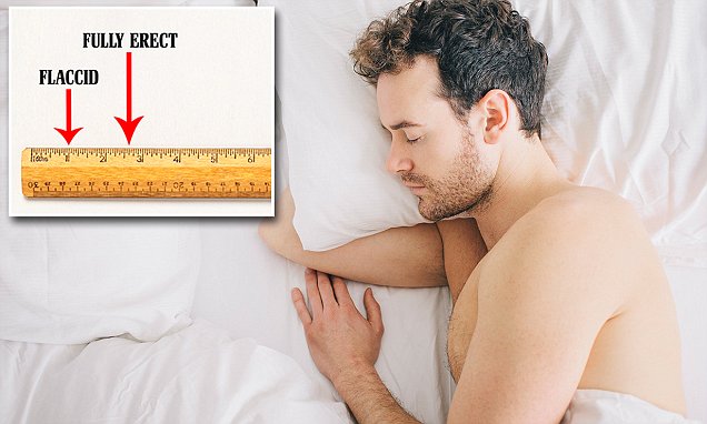 www.dailymail.co.uk