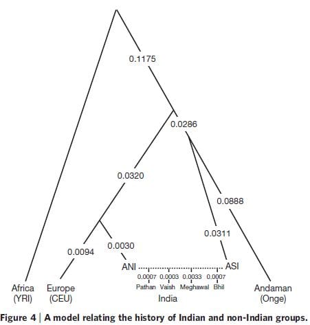 ani-asi-onge-tree-jpg.1104087