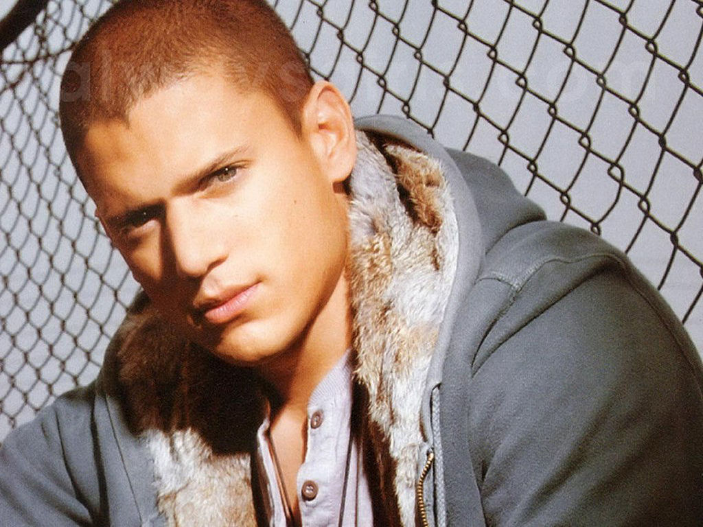 PB-Michael-Scofield-prison-break-638203_1024_768.jpg