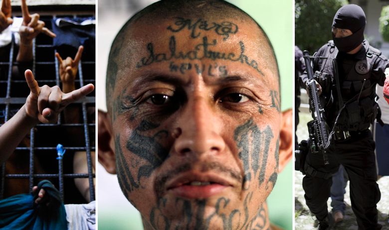 MS-13%20banda.jpg