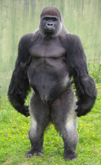 gtQPUD5.jpg