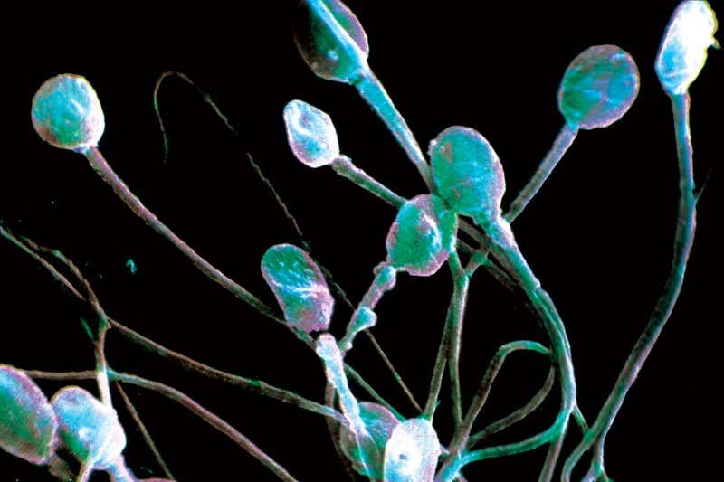 www.newscientist.com