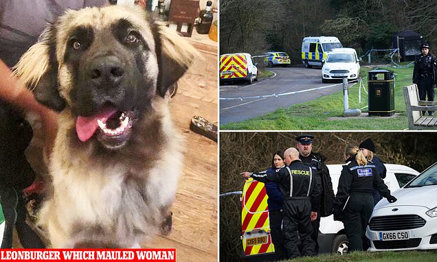 www.dailymail.co.uk