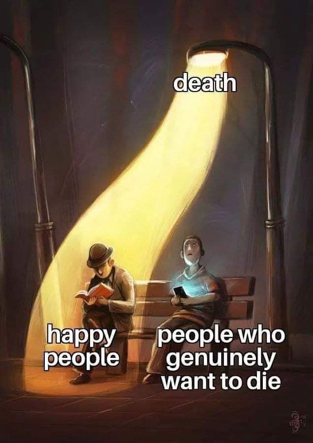 0k6ffhk8dj4b1.jpg