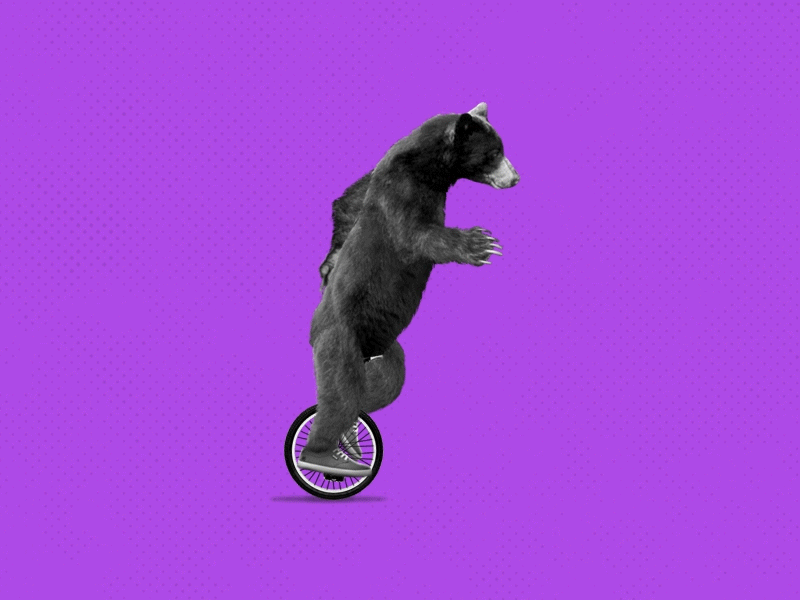 Bilderesultat for bear on unicycle gif