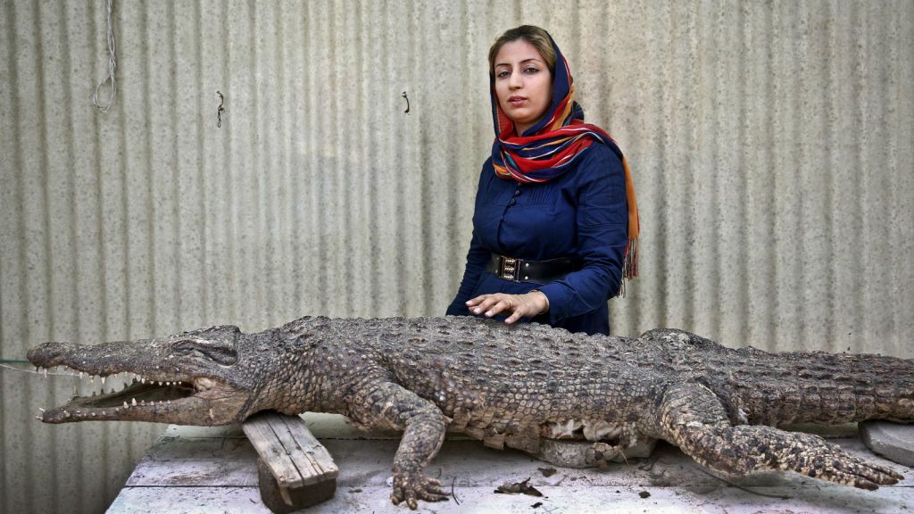 aptopix-mideast-iran-_horo-NEW.jpg