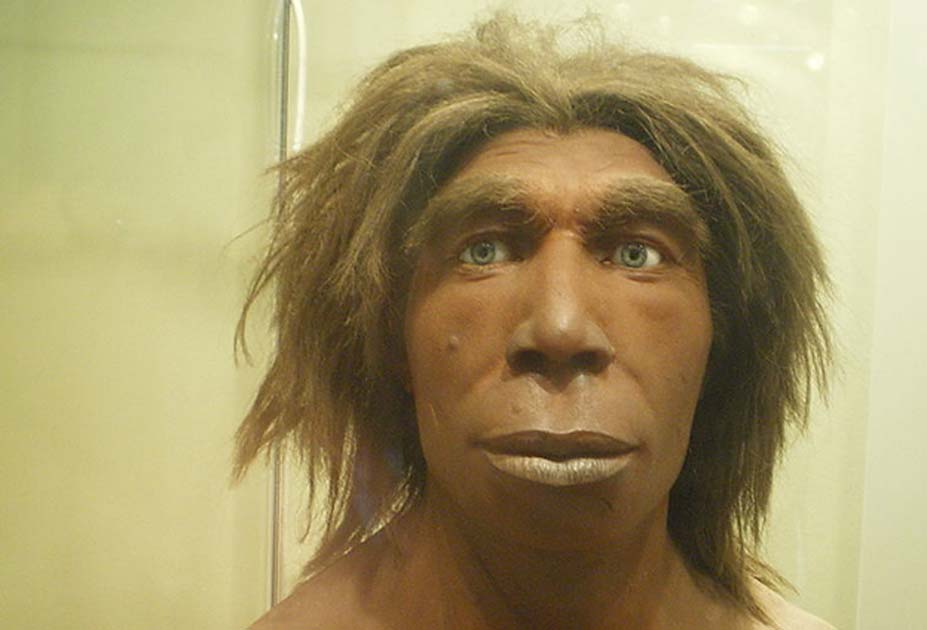 Neanderthal-DNA_0.jpg