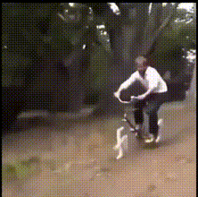 Reddit-Video-Downloader.gif
