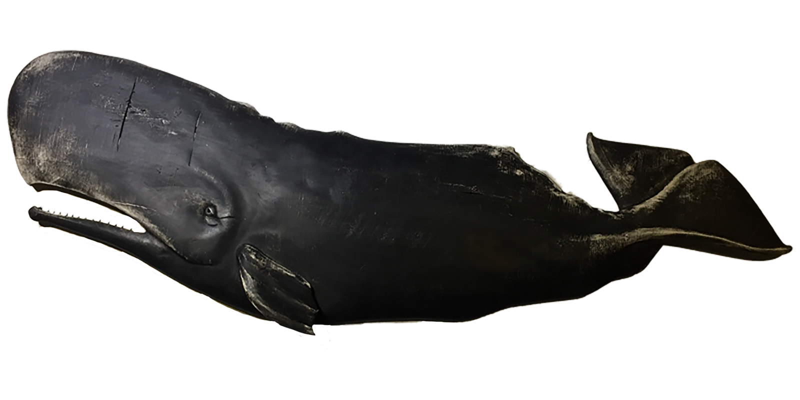 5' Black Whale – Nantucket Whales