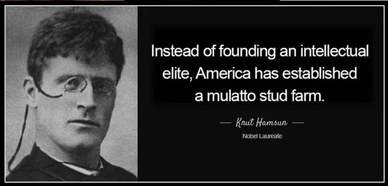 Instead-of-Founding-an-Intellectual-Elite-America-Has-Established-a-Mulatto-Stud-Farm-Hamsun.jpg