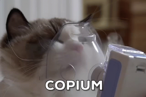 knsk_JXJJ8-FhE84u-Hy0w.gif