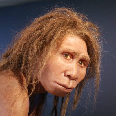 Homo sapiens, éternel migrant - L'influx