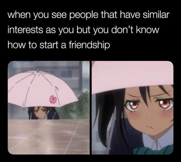 8kasvn.jpg