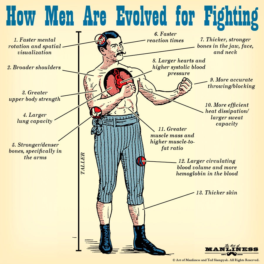 Evolved-for-Fighting-2.jpg