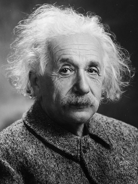 einstein_author_license_name.jpg