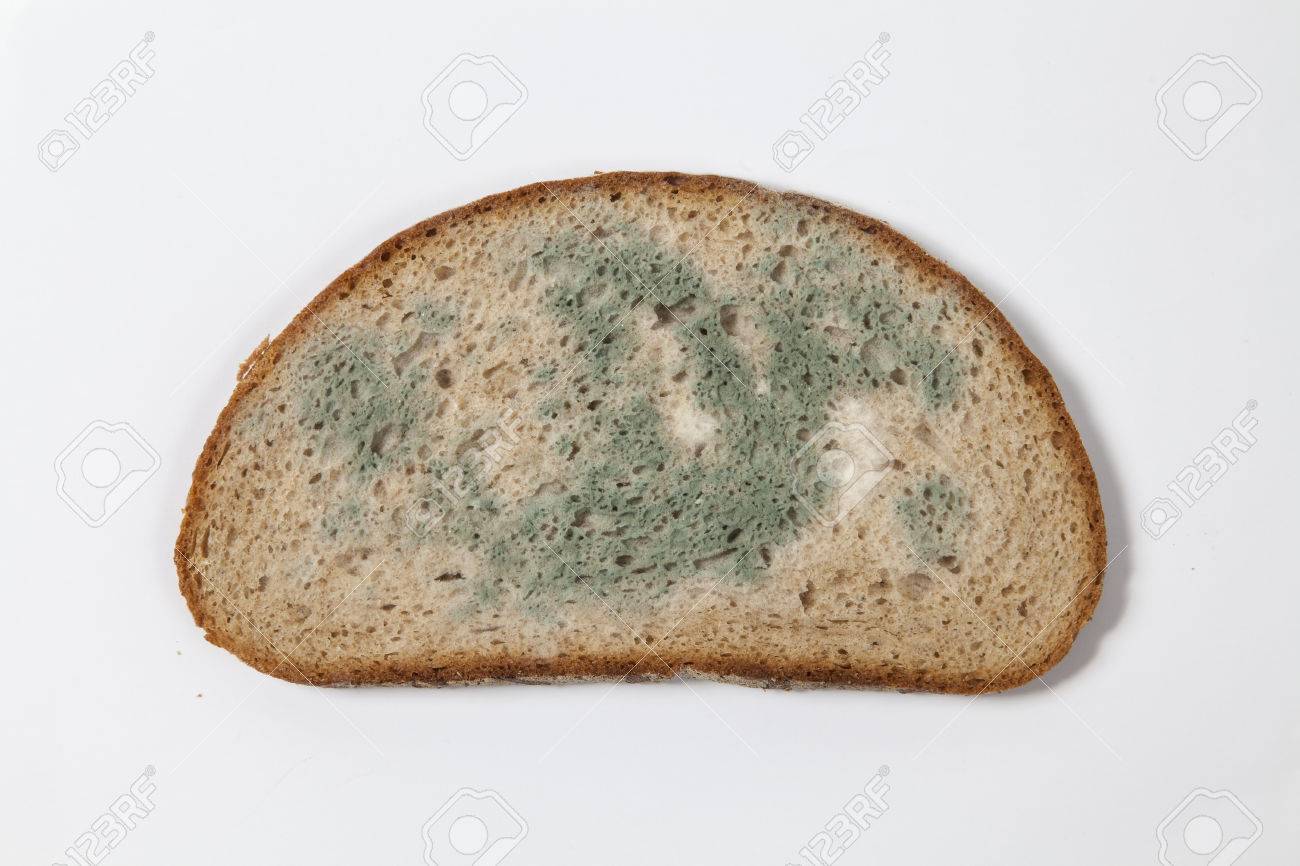 65665856-moldy-bread.jpg