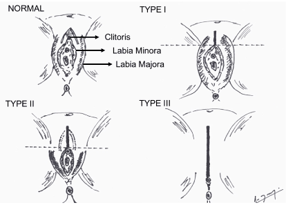 CMR-1-116-g002.gif