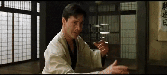 neo-et-morpheus-combat-matrix.gif