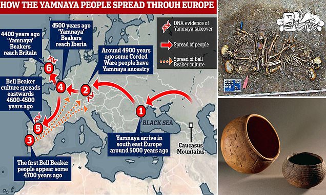 www.dailymail.co.uk