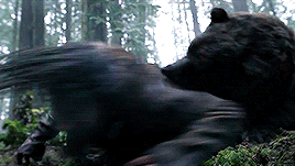 I'm Leo and the Bear is my student loan --------------------- Special  Edition: 2016 Oscar Nominated Best Picture - The Revenant – @the-imperfect-therapist  on Tumblr