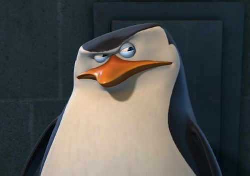 Suspicious-penguins-of-madagascar-18779021-500-352.jpg