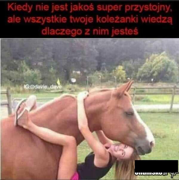 4adda0fe4e1e15f29886376fed379607.jpg