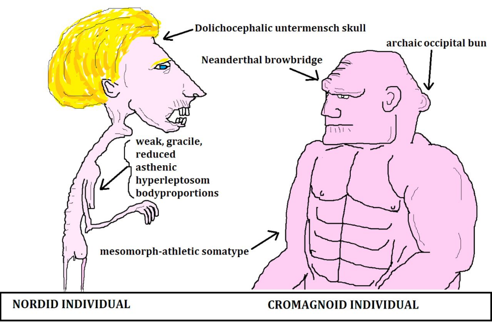 post occipital bun - Google Search | Occipital, Hominid, Memes