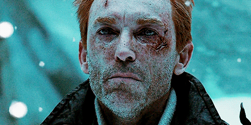 tumblr_neqop4Co1A1qiwaego3_r2_500.gif