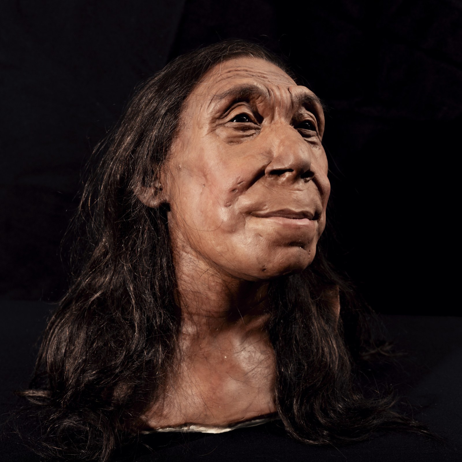 reconstructed-head-neanderthal-woman.jpg