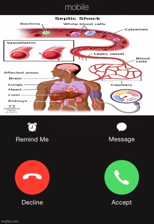 7fi9e8.jpg