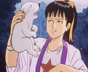 2046cc6fac8939a422003145f6713438.gif