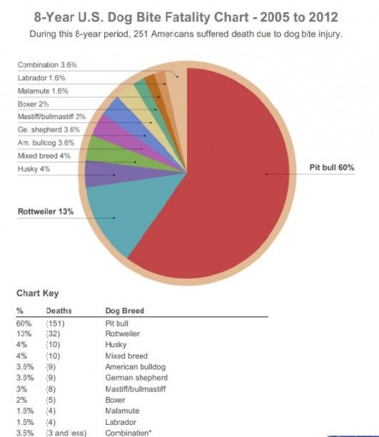 media%2FFmE7C4YXoAAwmuR.jpg