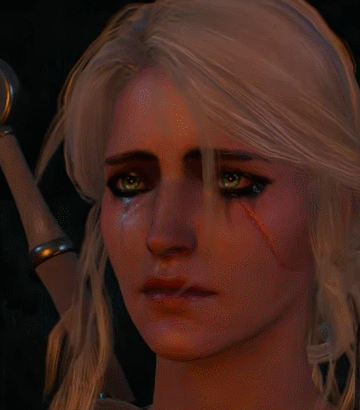 Pin by Ariel ‍♀️ on Art | The witcher, The witcher geralt, The witcher  books